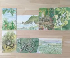 カラカラス様 リクエスト 2点 まとめ商品