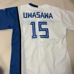 Item thumbnail for item 4551ccdc-f133-4437-824a-735900edd6b1