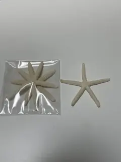 ホワイトヒトデ 置物 3個セット