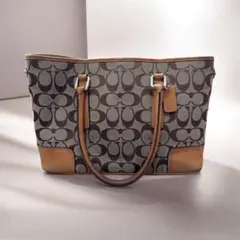 COACH コーチ バッグ シグネチャー C3U-6359 ブラウン レザー