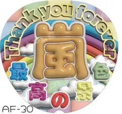 ファンサうちわ ぷっくり風文字　嵐　ARASHI A3うちわ文字　ジャンボうちわ