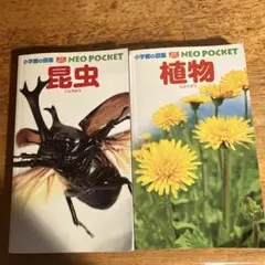 小学館の図鑑 NEO POCKET 昆虫・植物セット