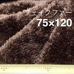 Item thumbnail for item e805347f-426b-46a6-9636-b153bb132c8b