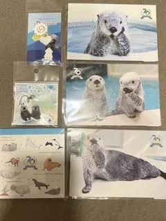 2026年最新】鳥羽水族館 70周年の人気アイテム - メルカリ