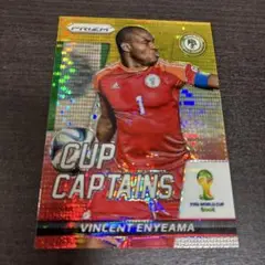 VINCENT ENYEAMA トレーディングカード No.29