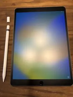 値下げ可 iPad Pro12.9インチ 第2世代 256gb+おまけ - メルカリ