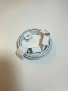 Apple純正品 Lightning ↔ Cタイプ