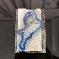 琵琶湖キーホルダー びわ湖キーホルダー 東レアローズ