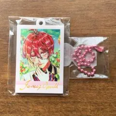 【あくねこ】アニカプ ぱしゃこれ ミニアクキー フェネス
