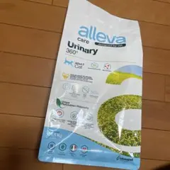 Item thumbnail for item 3f89dbfc-5b31-40c4-874b-544396bc32e4