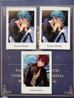 あんスタ パシャっつ【private①】