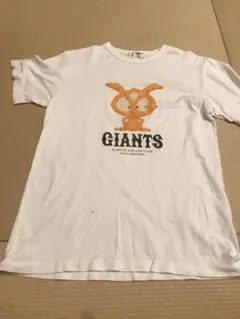 Item thumbnail for item 2a956296-8c9a-4ac3-aa7f-ef71313a4e88