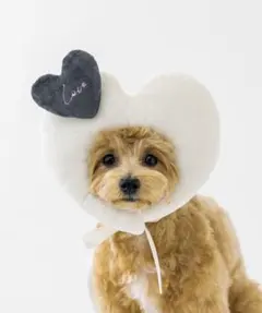 ② ハート顔ハメ アイボリー ハート バレンタイン 犬 ペット スリーコインズ