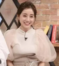 田中みなみ着用！(スナイデル) ボリュームスリーブカット ドッキングプルオーバー