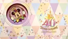 レア】アメリカ ディズニー100周年 ドナルド・デイジー ピンバッジ