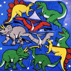 P-chan★プロフィール必読★様 リクエスト 2点 まとめ商品