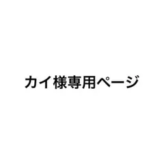 カイ様専用ページ