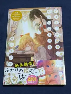 ある日、お姫様になってしまった件について 12