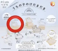 うちの子のけだまだま　ポメラニアン