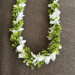 フラダンス用 ロングレイ