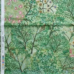 リバティ　デビッドジョー　50cm　タナローン