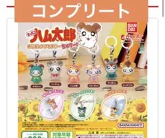 とっとこハム太郎めじるしアクセサリーちゅりー！