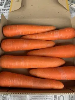 ゆぅにゃん様専用ページです