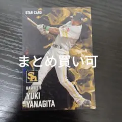 柳田悠岐 スターカード カルビープロ野球チップス 第二弾 2025