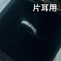 Item thumbnail for item 49c1a48e-0565-457d-a490-1f1f4d5c703d