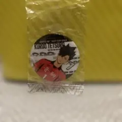 ハイキュー ピンバッジ 缶バッジ