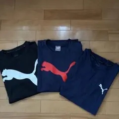 プーマ　Tシャツ　M〜L3枚セット