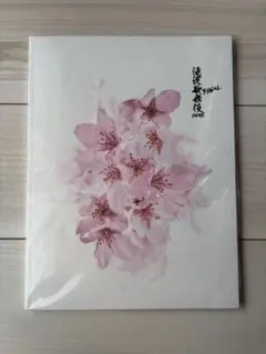 【ほぼ新品】SnowMan 滝沢歌舞伎ZERO FINAL 公式パンフレット