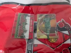 浦和レッズ 『熱狂開幕ブランケット』新品未使用