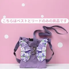 Item thumbnail for item a66e4821-f24d-4343-b80f-0b756a89fdca