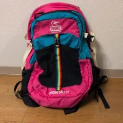 CHUMS SPRING DALE 25 バックパック　【美品】