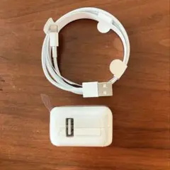 10W USB Power Adapter & Lightningケーブルセット