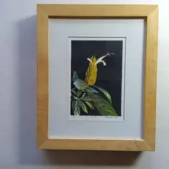 小林ドンゲ DONGE KOBAYASHI Autumn 秋 版画 1963年 - メルカリ