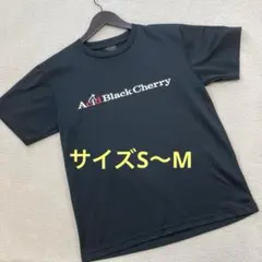 【専用】Acid Black Cherry Tシャツ　LIVE yasu S