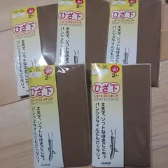 GUNZE ひざ下ストッキング2パック(10足)カルロ