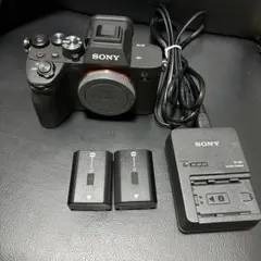 2025年最新】sony a7ivの人気アイテム - メルカリ
