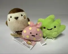 すみっコぐらし　すずめ　雑草　ふろしき　ぬいぐるみ