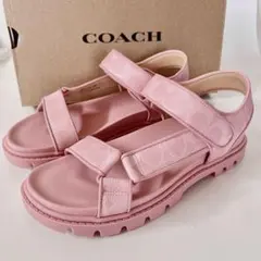 【未使用品】COACH スポーツサンダル チョーク レディースサイズ　7 未使用品】COACH スポーツサンダル チョーク レディースサイズ 7