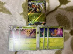 ポケモンカード　スピアーex 進化ライン