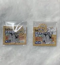 ハイキュー‼︎ファンパーク アクリルminiフィギュア 及川徹 岩泉一