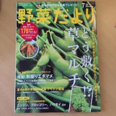 野菜だより　2026年7月号　夏号のサムネイル