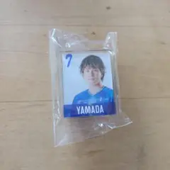 FC今治 作戦ボード用マグネット