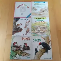 絵本セット6冊 かがくのとも ちいさなかがくのとも - メルカリ