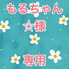 もるちゃん☆様専用