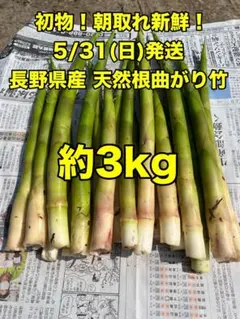チーカマさん専用　タケノコ3kg チーカマさん専用 タケノコ3kg - メルカリ