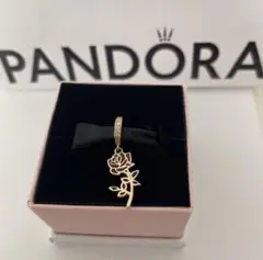 PANDORA Charme パンドラチャーム
